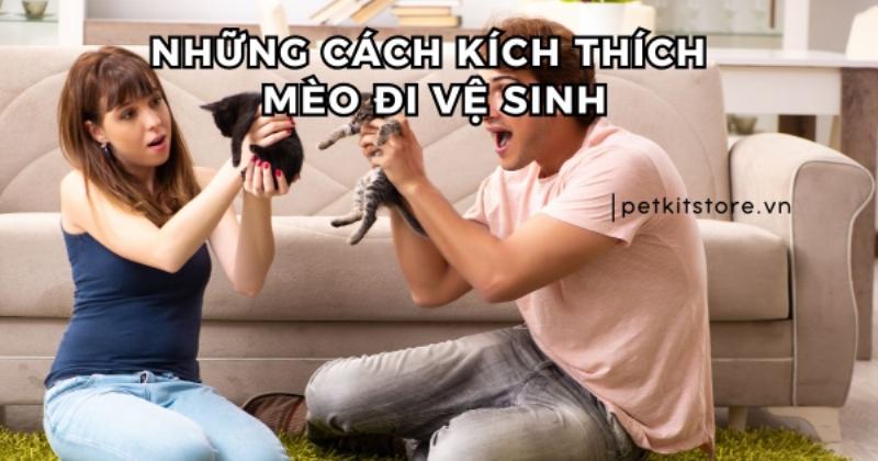 Một người chủ đang nhẹ nhàng vệ sinh bộ phận sinh dục của chó đực bằng bông gòn thấm nước ấm